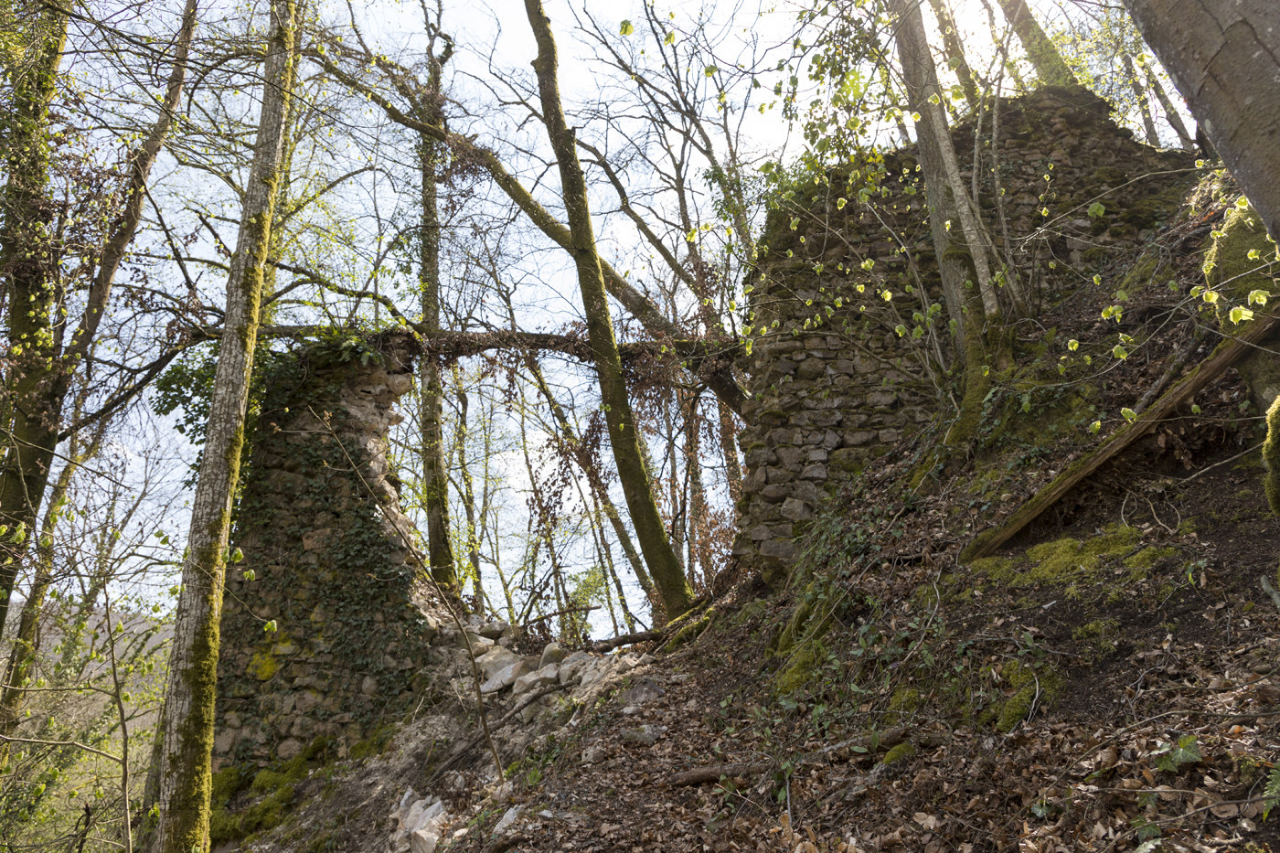 Zugang zur Ruine Gutenburg