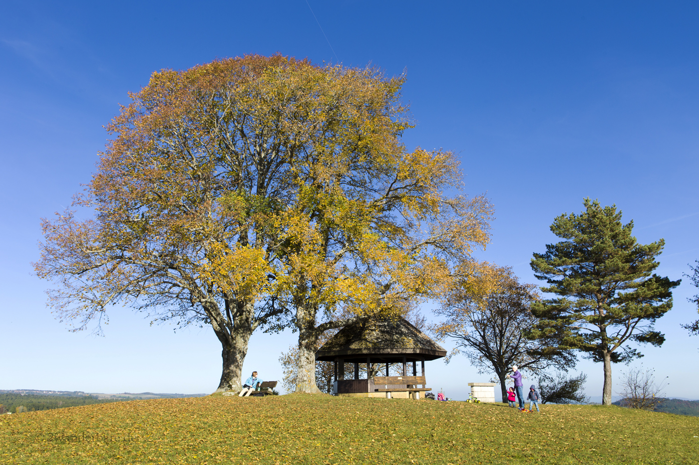 Pavillon auf dem Gupfen