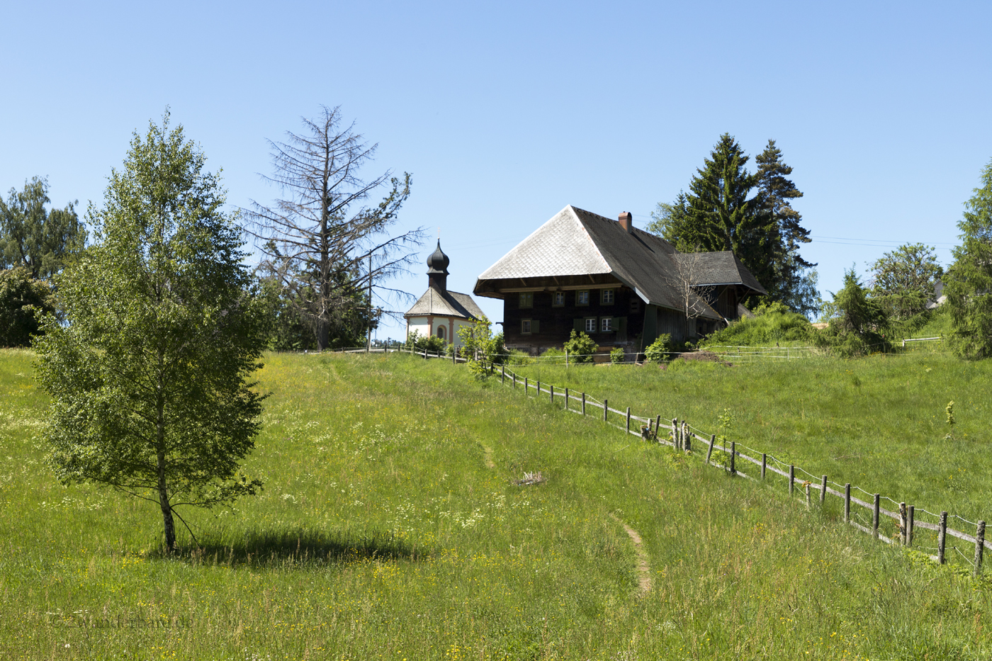 Wanderung auf dem Bergbaurundweg von Dachsberg