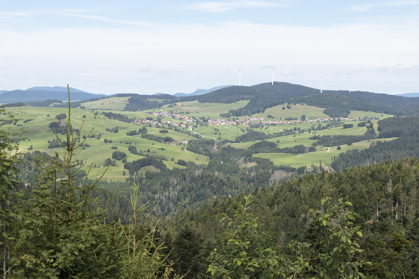 Aussicht vom Hornberg über Gersbach