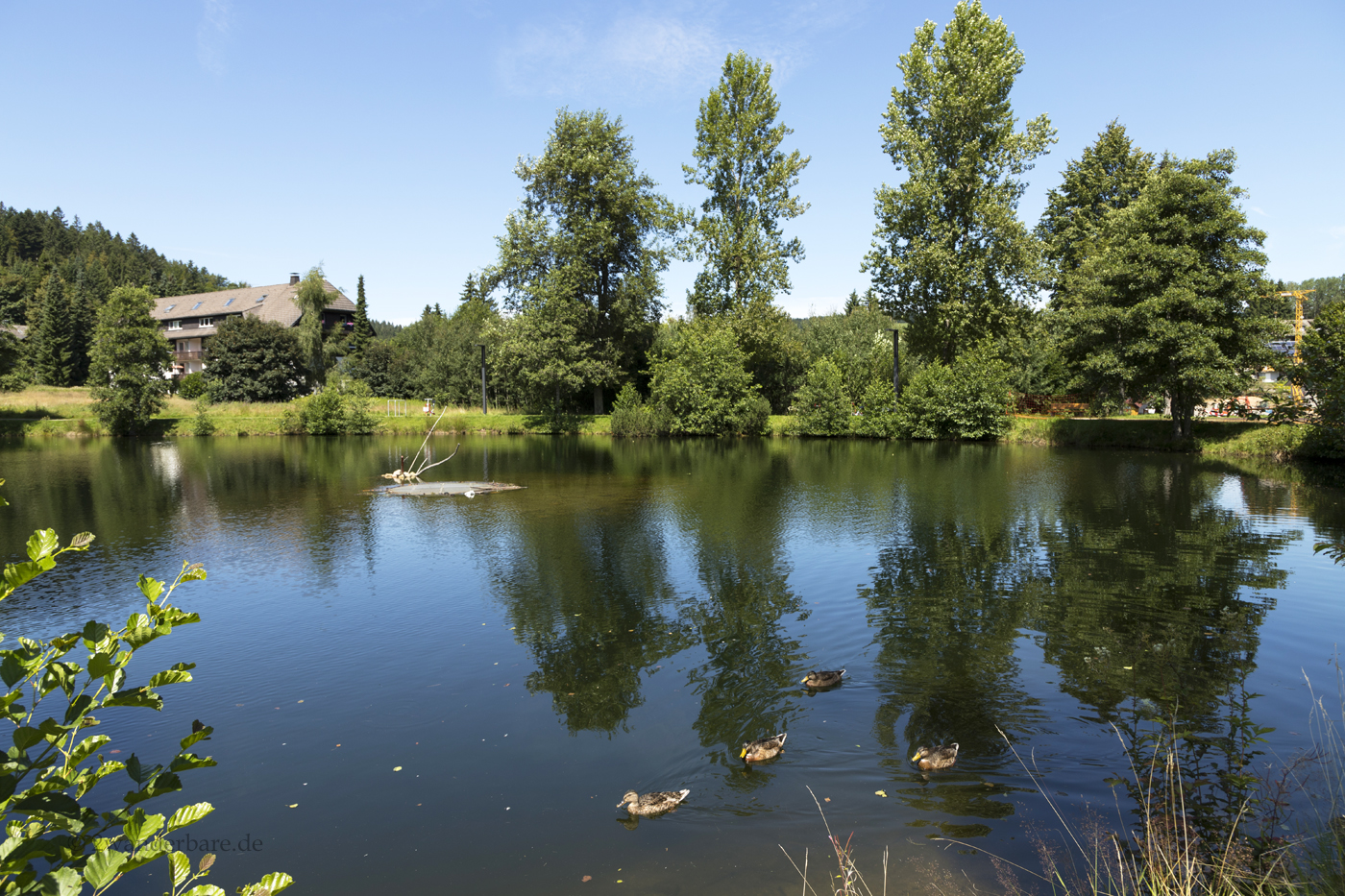 Stehlesee bei Herrischried