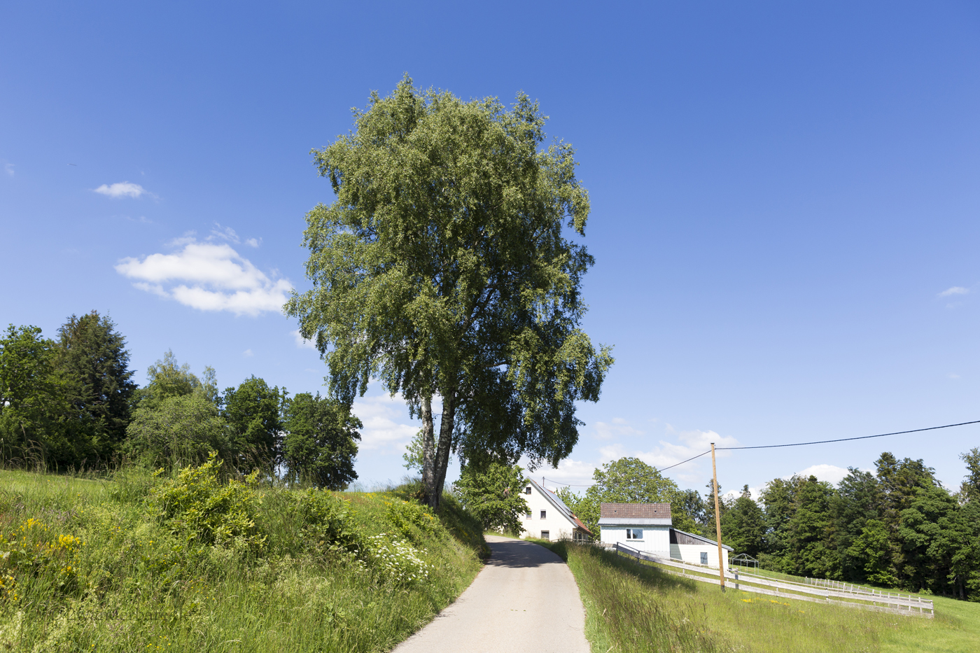 Corneliweg in Wilfingen