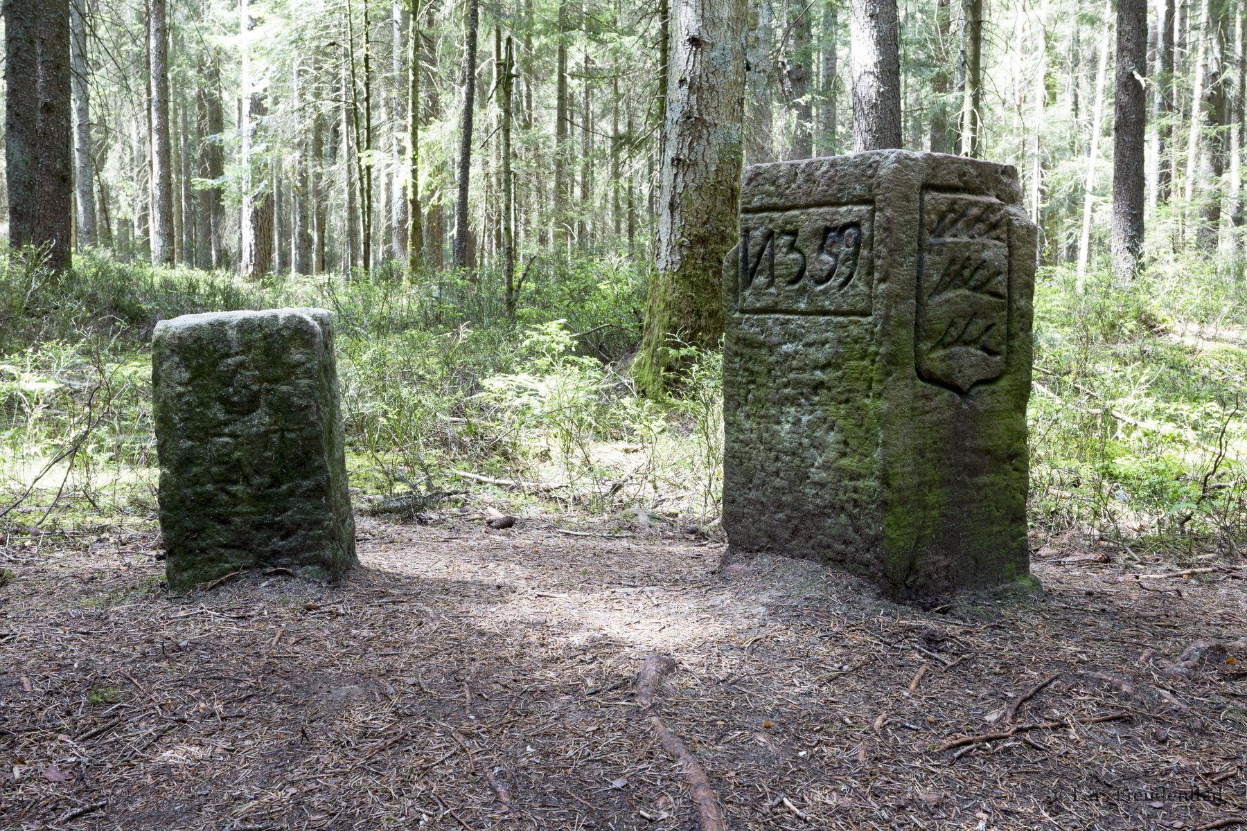 historische Grenzsteine zeigen den Grenzverlauf bei Tennenbronn im Schwarzwald