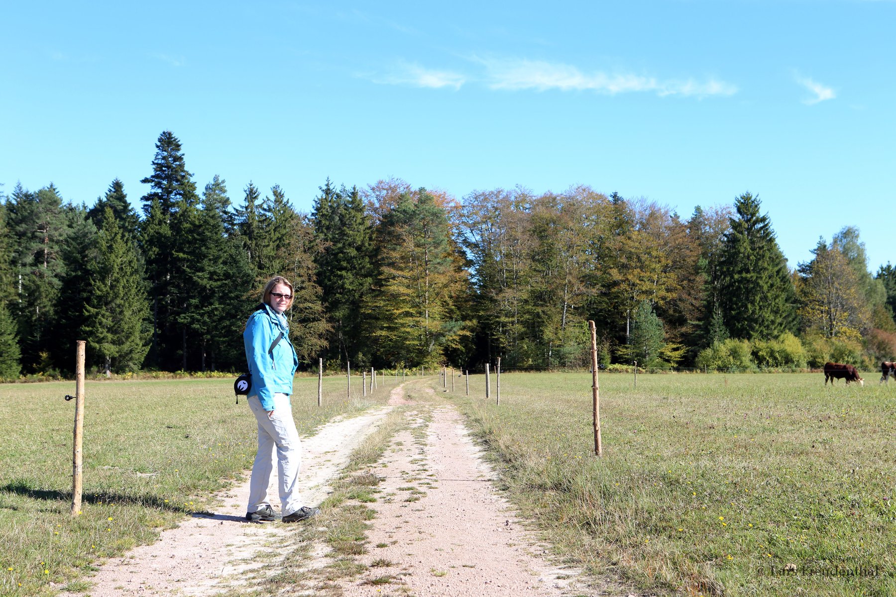 Wanderin über dem Bernecktal im Schwarzwald