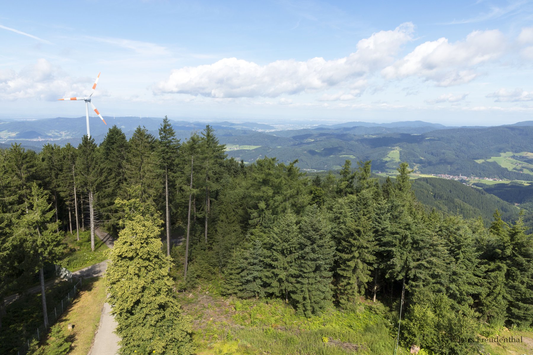 Aussicht vom Brandenkopfturm über die Hügel im mittleren Schwarzwald