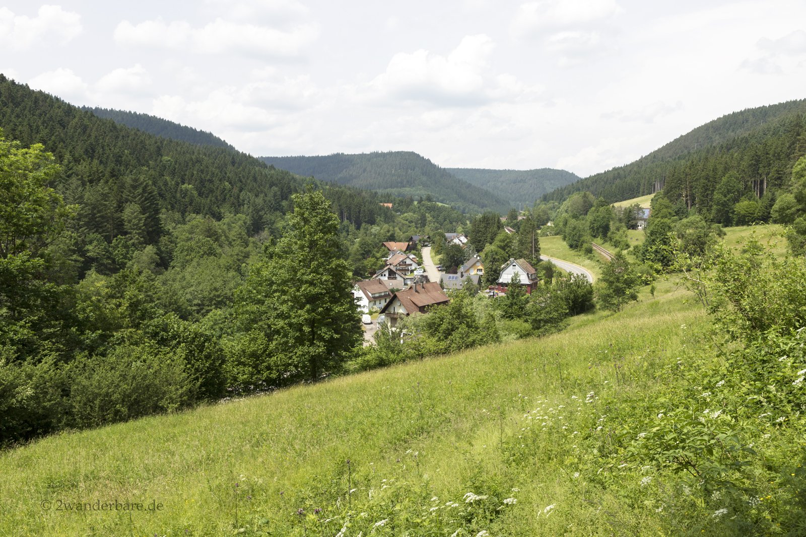 Wiesen und Wälder bei Alpirsbach im oberen Kinzigtal