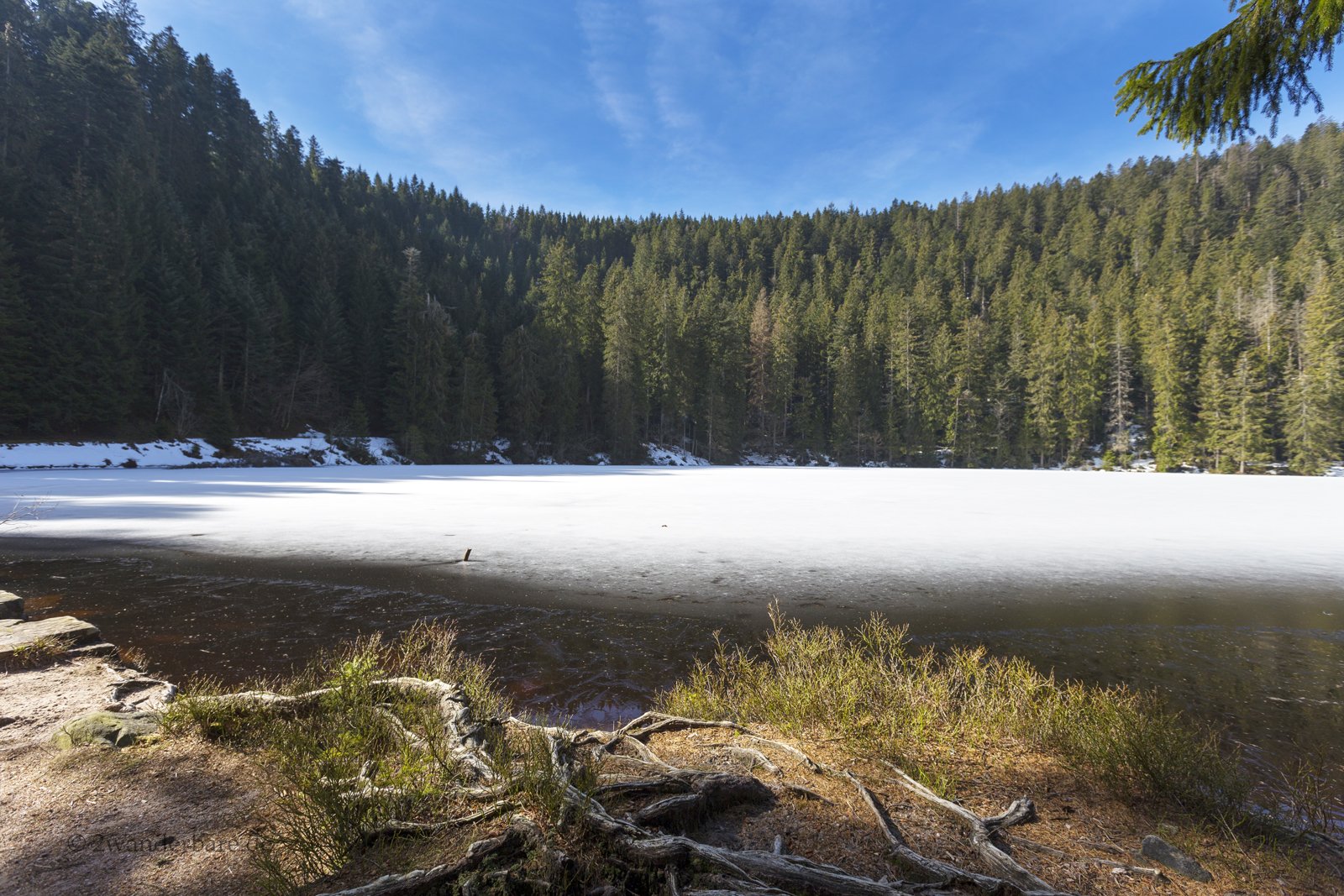 Schneebedeckte Eisfläche auf dem Glaswaldsee im Schwarzwald