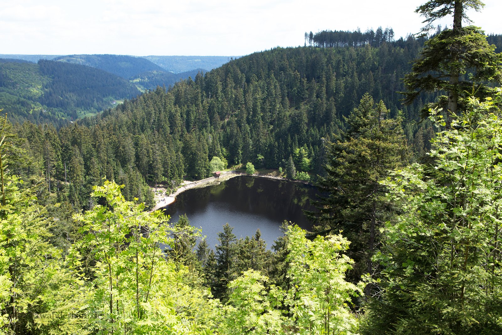 Aussicht vom Seeblick auf den von Wäldern umgebenen Glaswaldsee nahe Rippoldsau-Schapbach