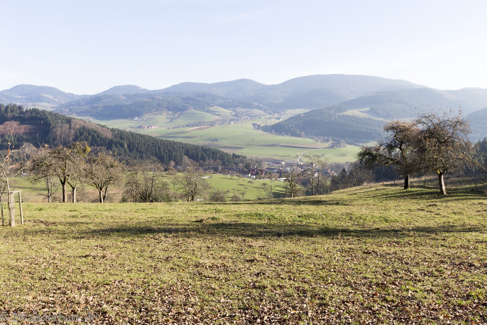 Aussicht von der Hahn- und Henne-Runde über das Harmersbacher Tal zum Brandenkopf