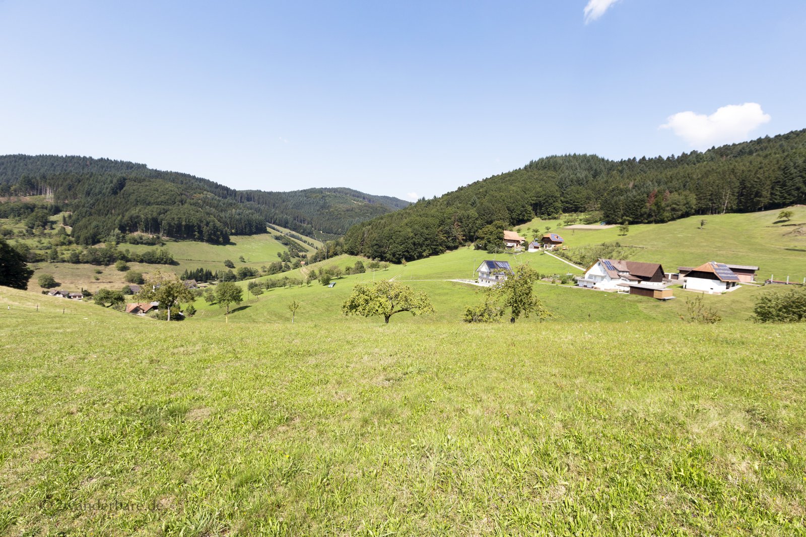 Haslach – Aussicht vom Panoramaweg Nord über grüne Wiesen im Kinzigtal