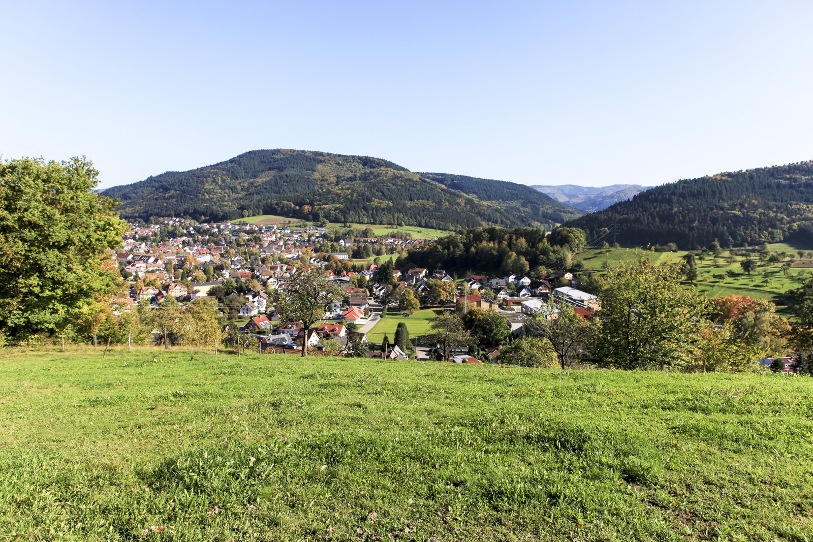 Aussicht über grüne Wiesen auf Haslach im Kinzigtal
