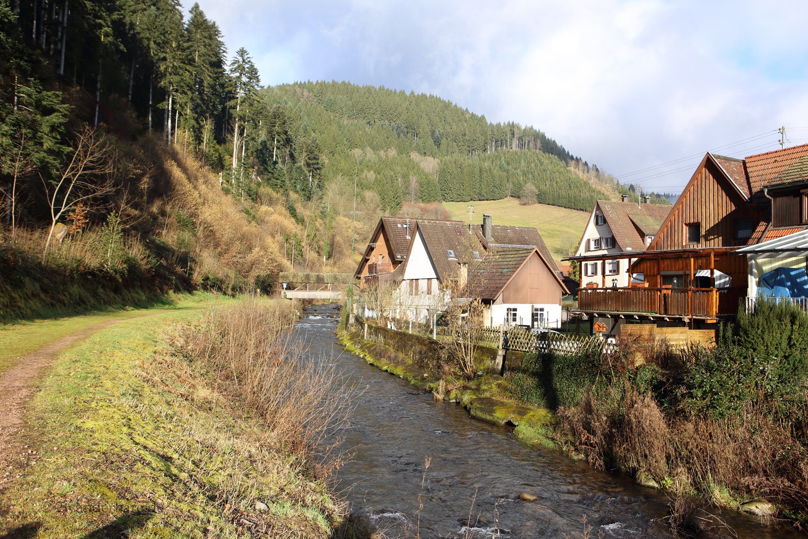 Häuser an der Kinzig bei Schenkenzell