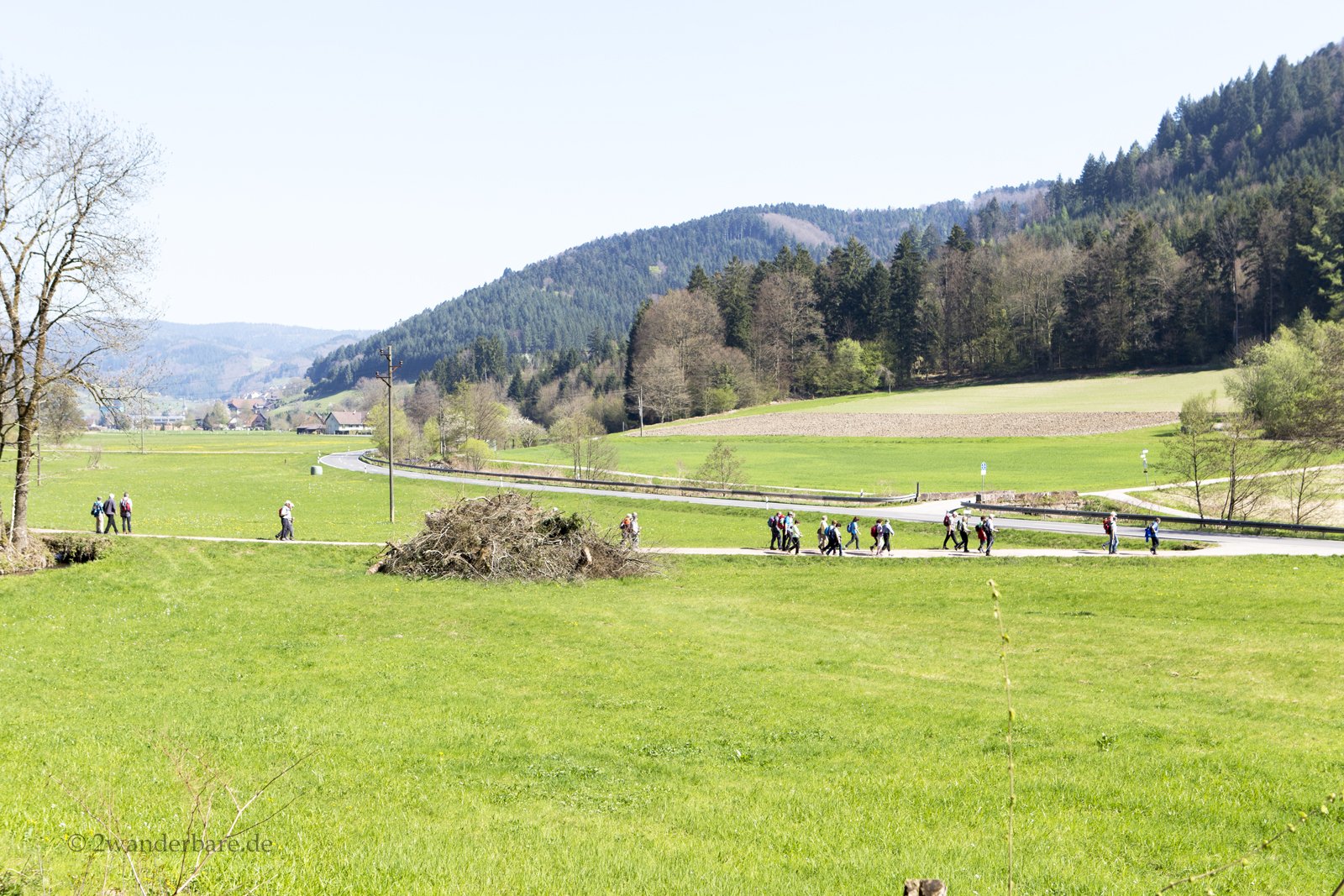 Aussicht vom Panoramaweg ins obere Harmersbacher Tal
