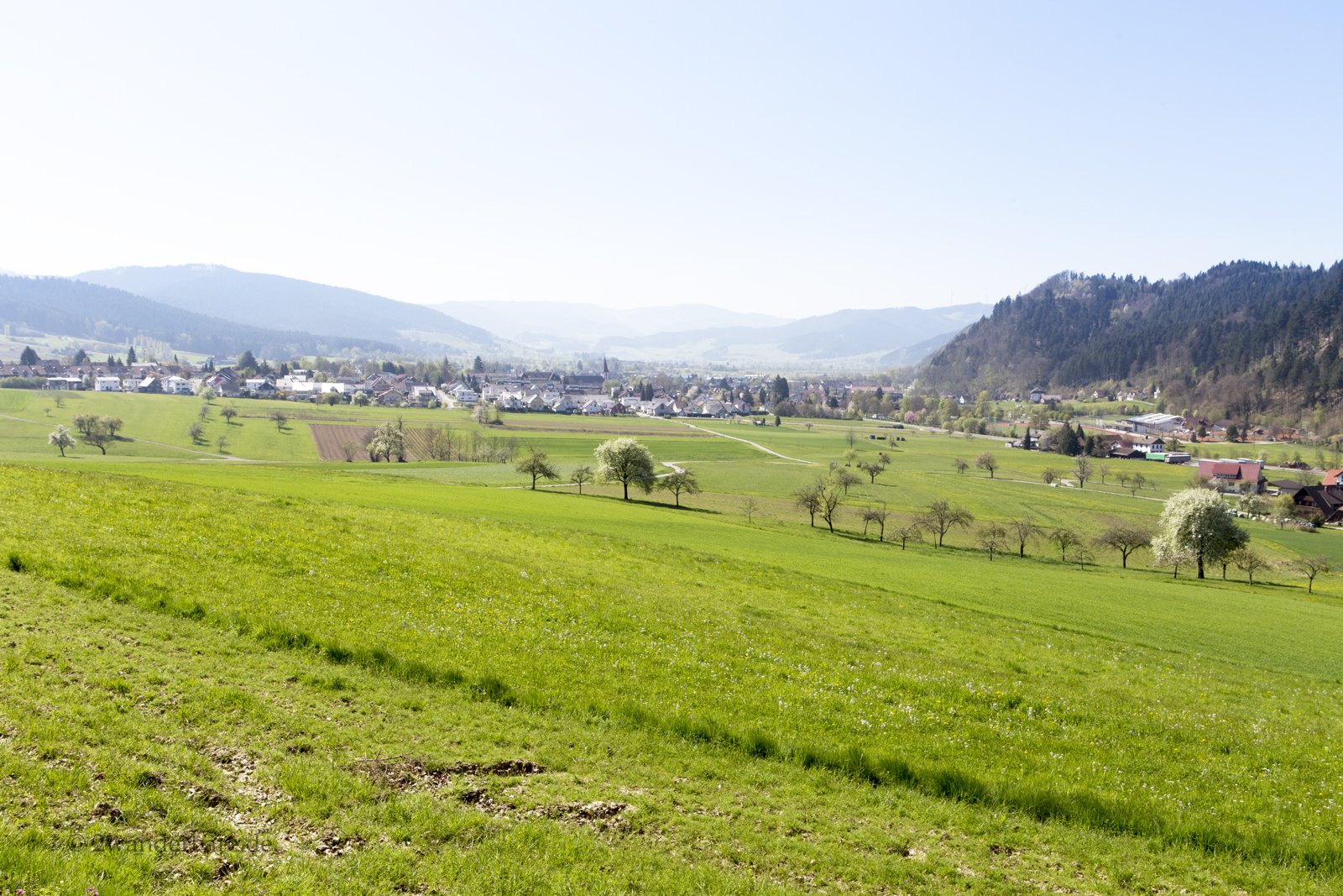 Aussicht über Zell zu den Hügeln südlich der Kinzig