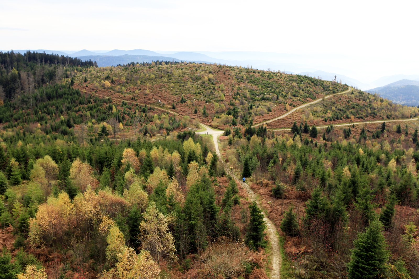 Aussicht vom Mooskopfturm zum Lothardenkmal auf dem Siedigkopf im Schwarzwald