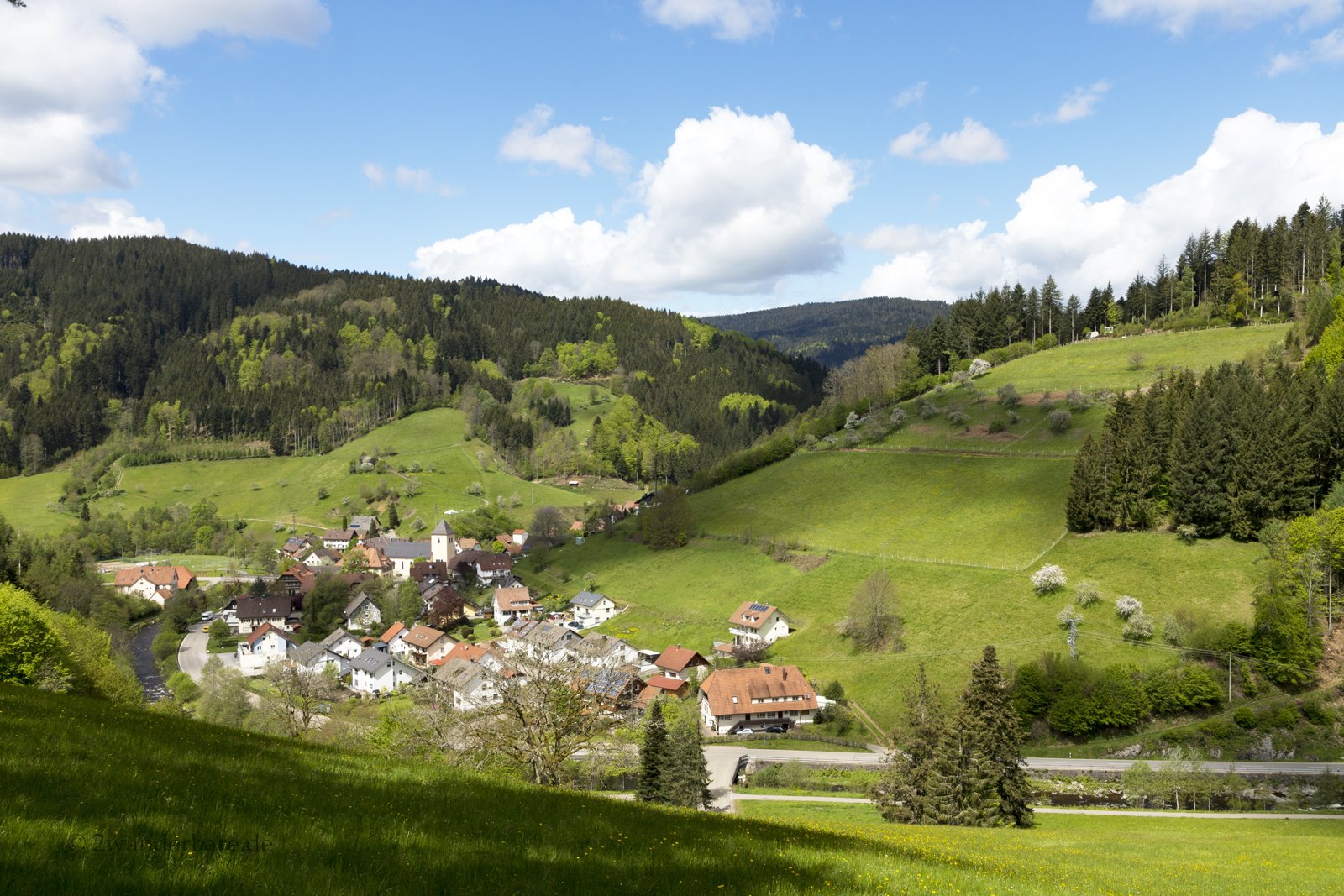 Aussicht über das von Wiesen und Hügeln umschlossene Oberwolfach im Schwarzwald