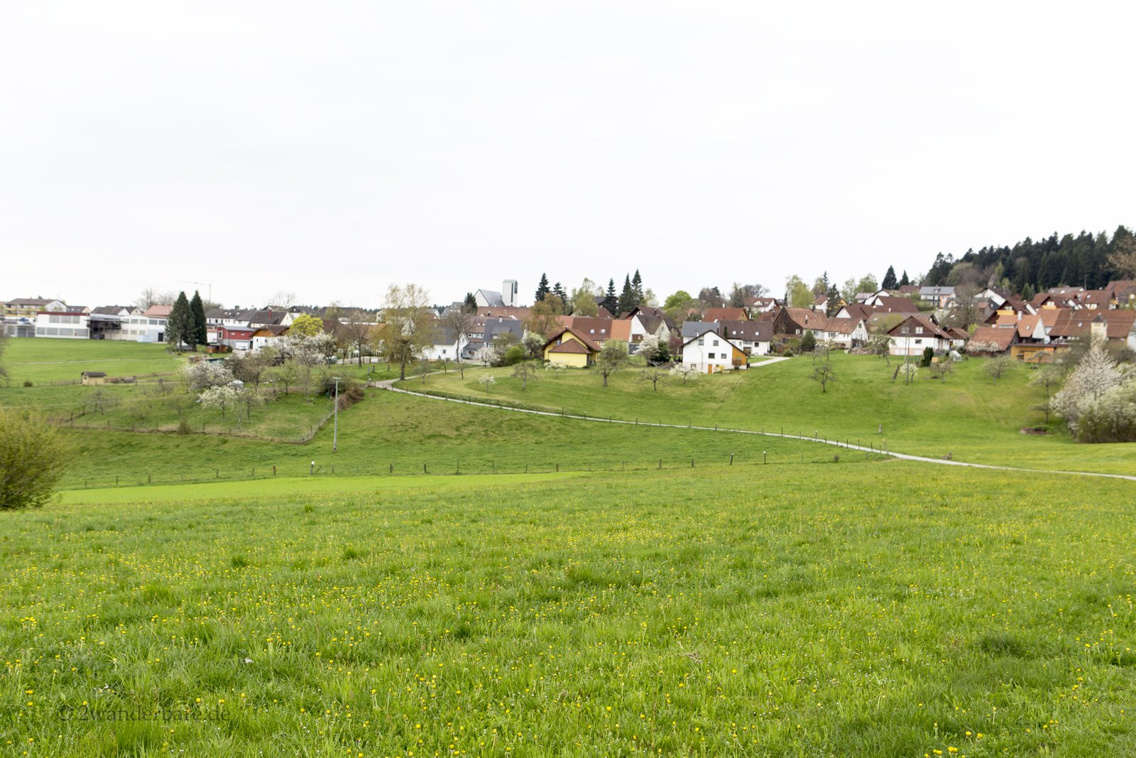 Aussicht über grüne Wiesen auf Loßburg im oberen Kinzigtal