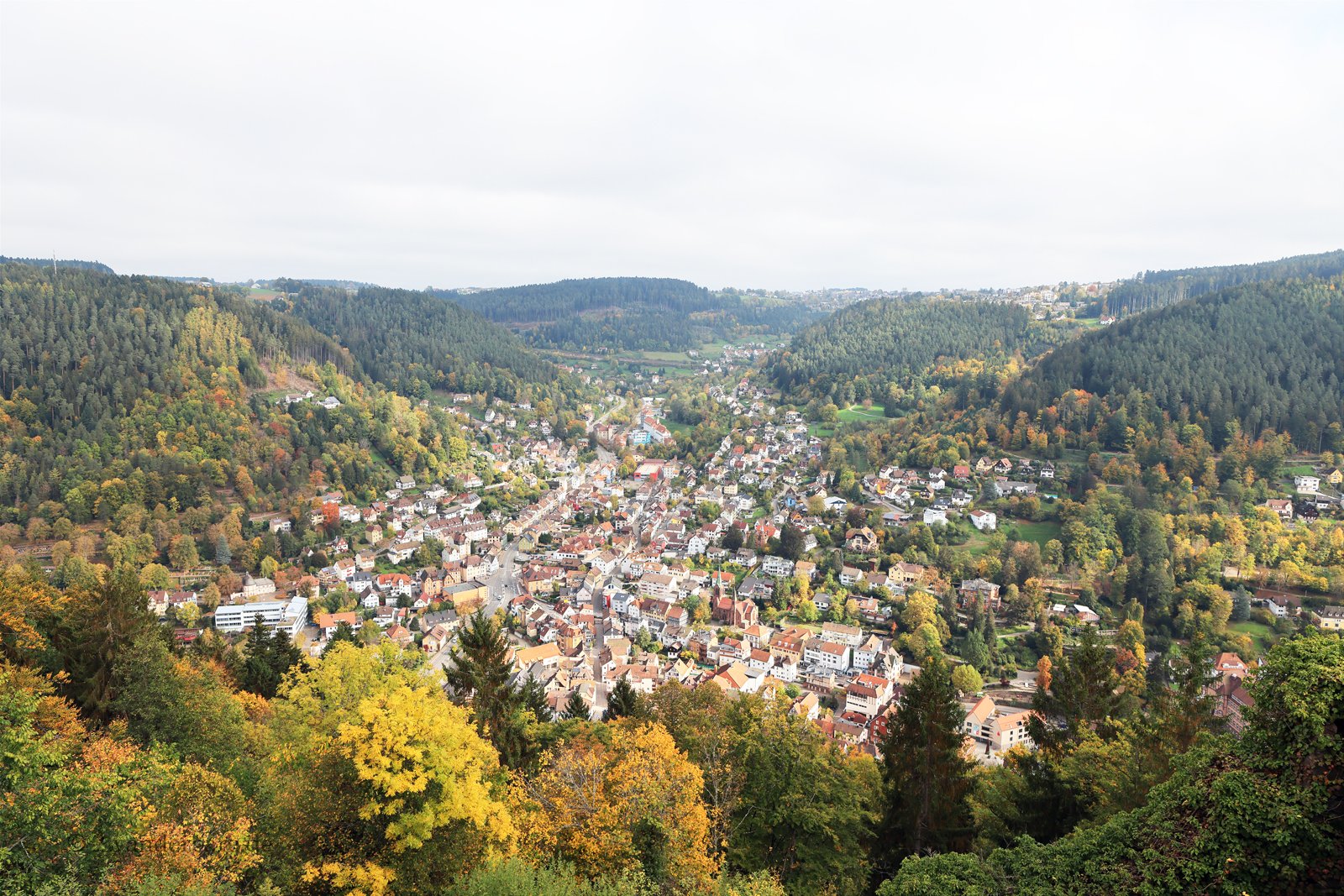 Aussicht über die Fünftälerstadt Schramberg im Schwarzwald
