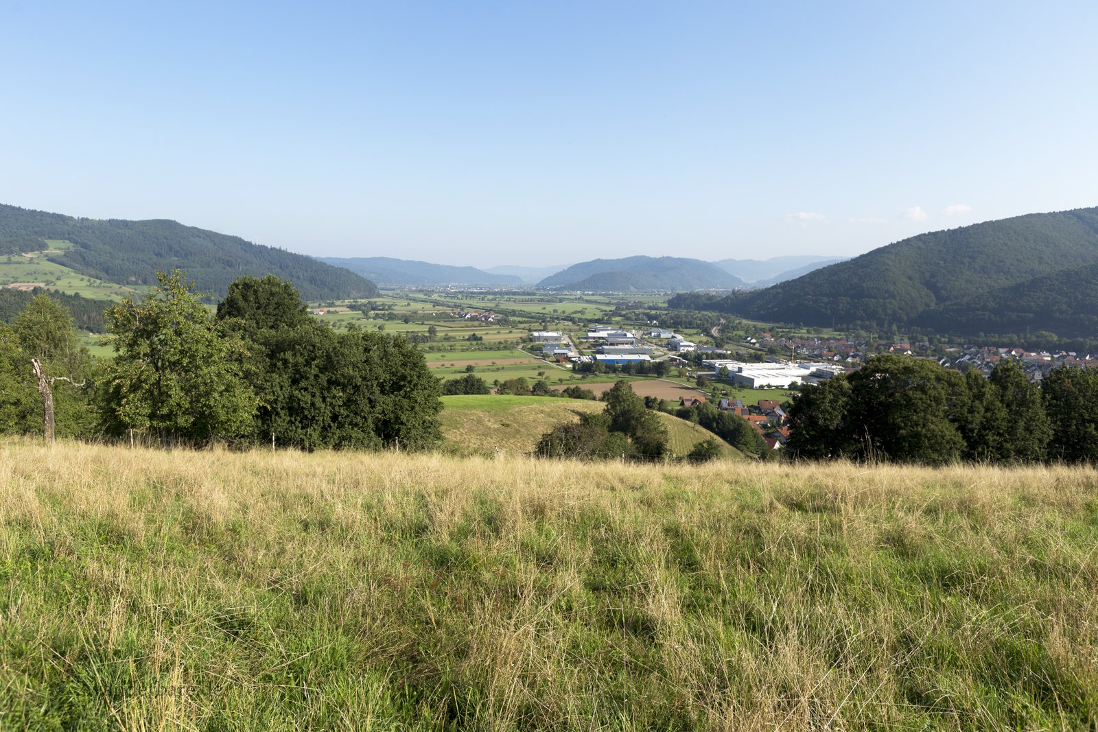 Aussicht vom Kreuzbühl oberhalb Steinach (Baden) über das Kinzigtal