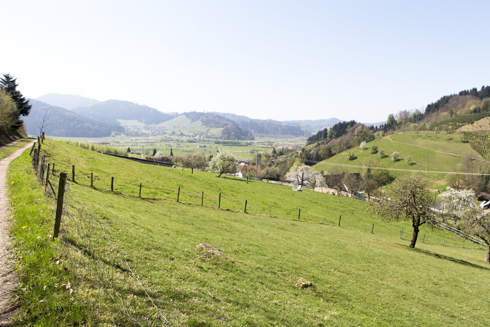 Aussicht vom Tälerpfad über das Dantersbachtal bei Gengenbach