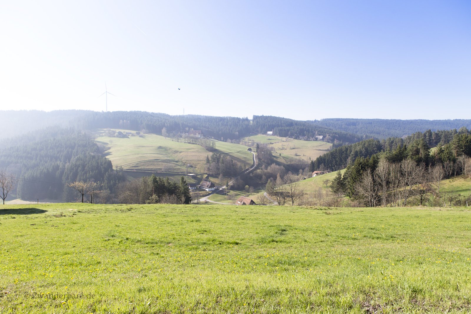 Aussicht über sonnige Wiesen am Mittelberg bei Tennenbronn zu mehreren Schwarzwaldhügeln