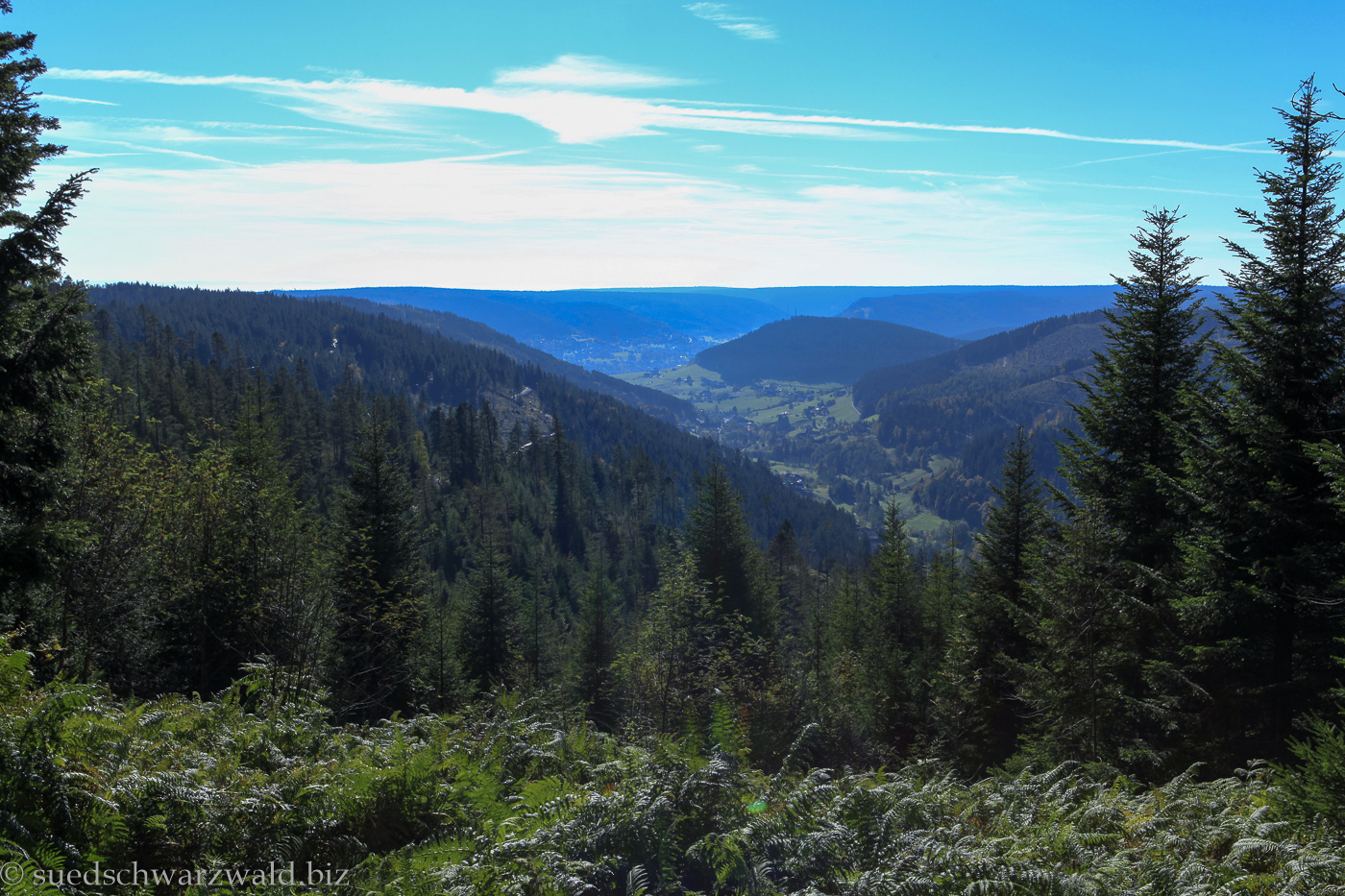 Aussicht vom Baiersbronner Tonbachsteig