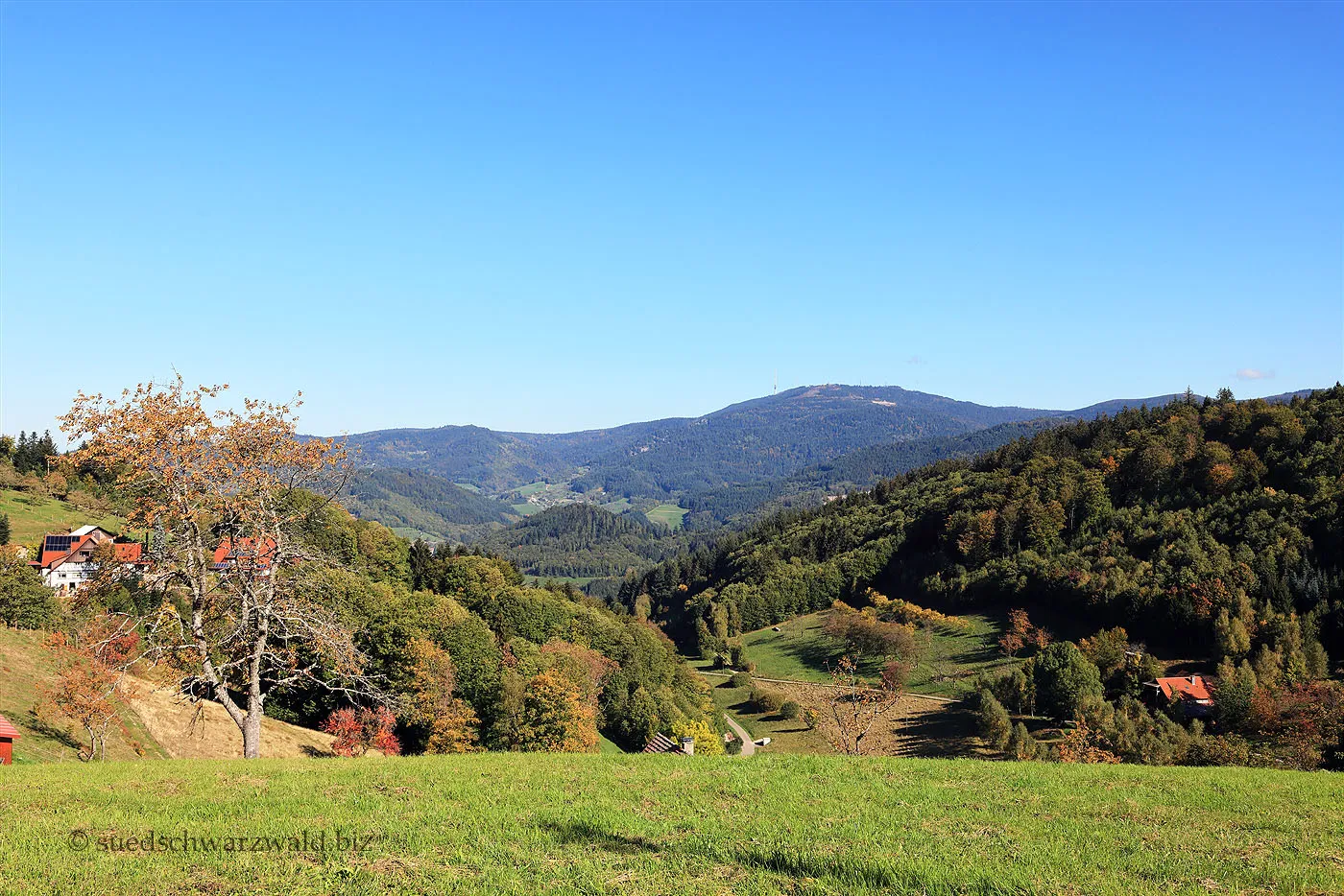 Aussicht vom Lautenbacher Hexensteig zur Hornisgrinde im Schwarzwald