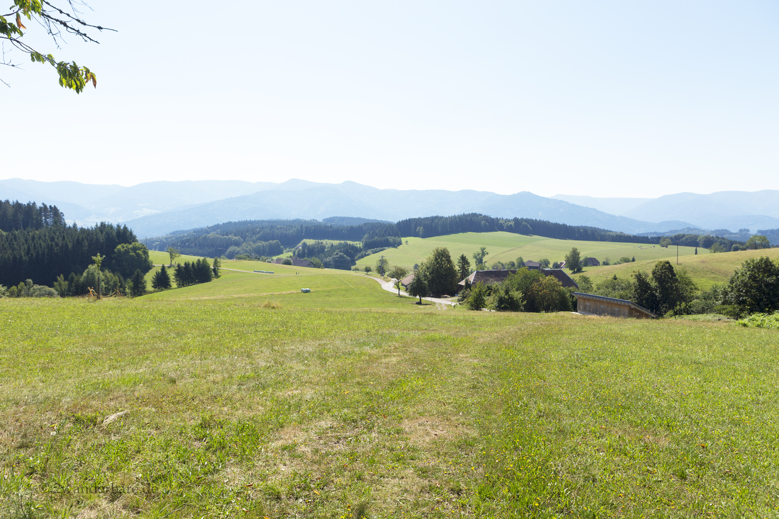 Aussicht von der Kreuzeckle-Tour über die Wälder und Hügel im ZweiTälerLand