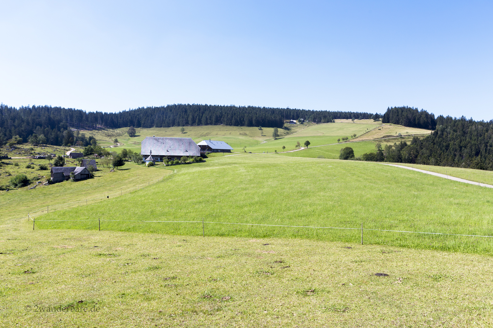 Aussicht über die Wiesen auf dem Rohrhardsberg im Schwarzwald