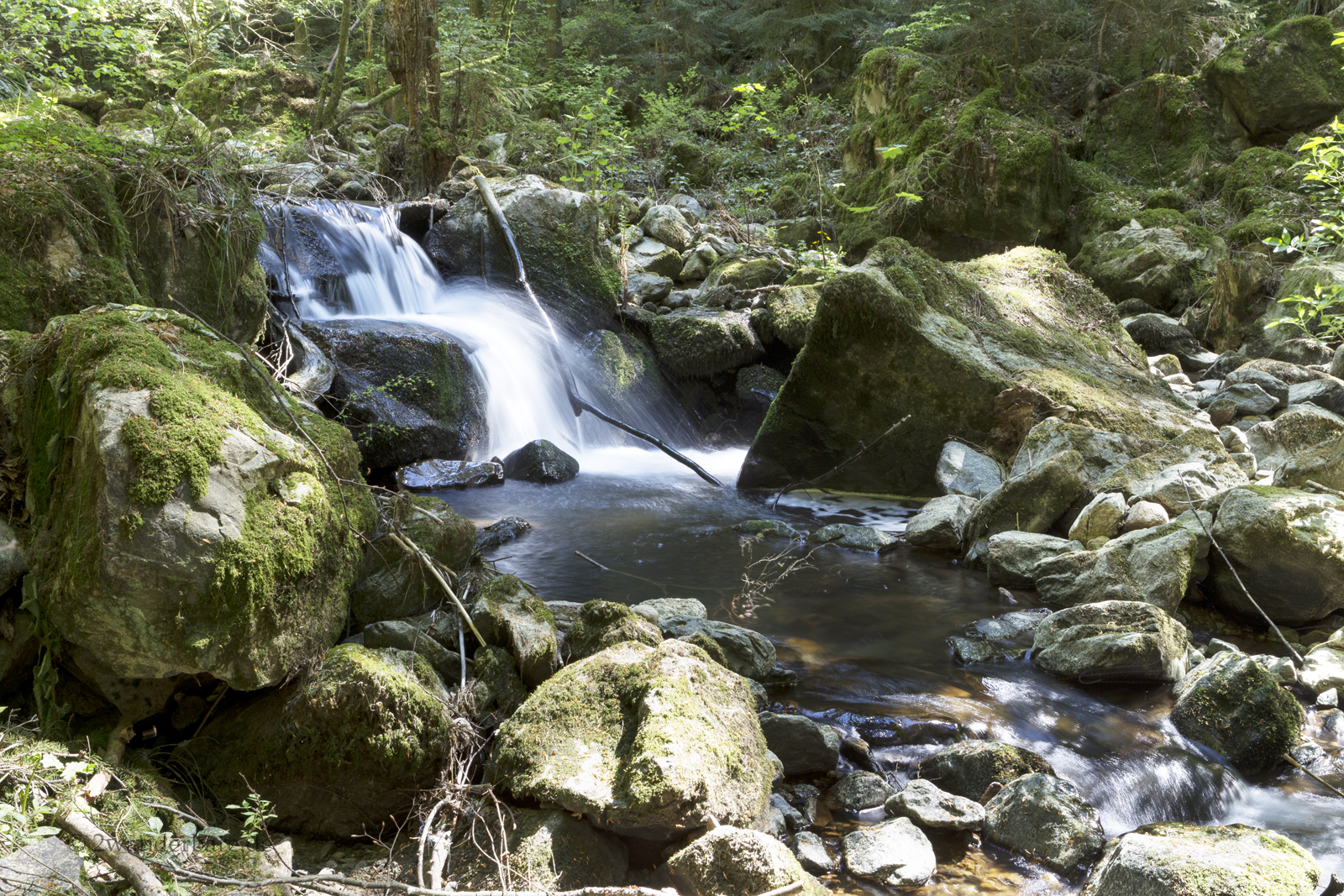 Kleiner Wasserfall in der Teichschlucht bei Wildgutach im Schwarzwald