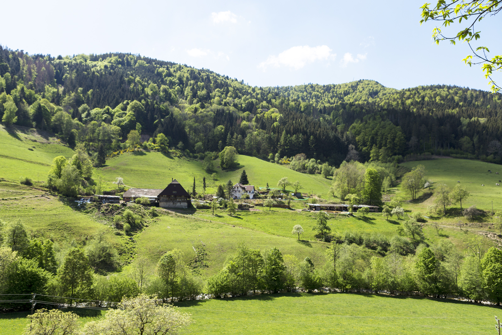 Aussicht vom Wanderweg Wildbach-Tour über Wildgutach