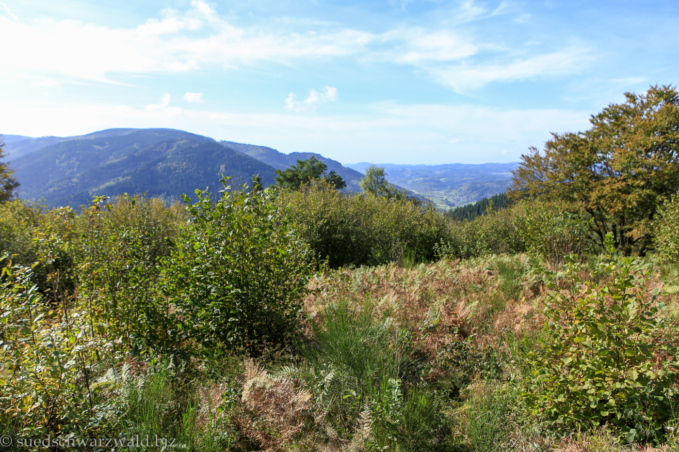 Wandern in der Ferienregion ZweiTälerLand