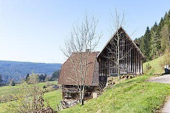 typischer Schwarzwaldhof mit Tenne bei Schramberg-Tennenbronn