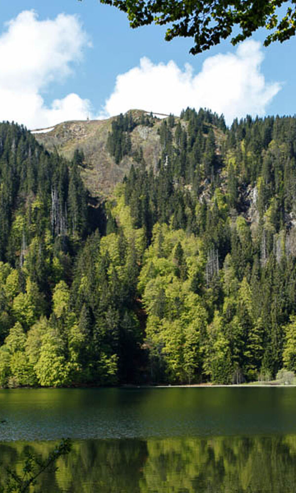 Karsee Feldsee am Feldberg