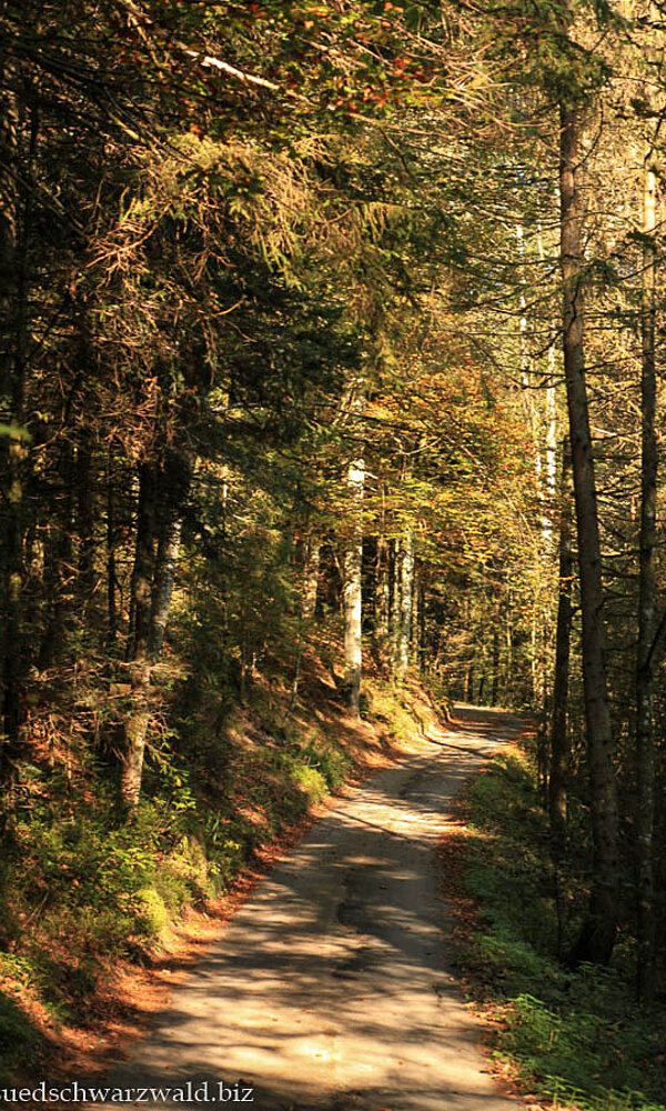 Wanderweg zur Hexenlochmühle