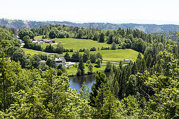 Blick auf den Klosterweiher bzw. Horbacher See