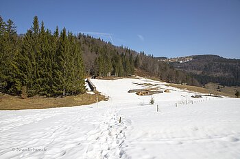 Gisibodenalm im Winter