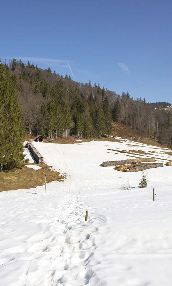 Wanderung von Bernau zur Gisibodenalm