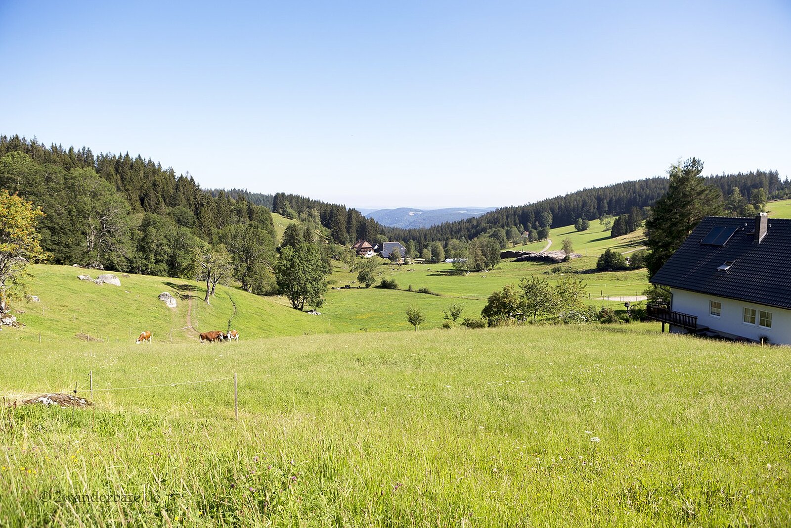 Aussicht von der Gutenhöhe über das Prisental im Schwarzwald