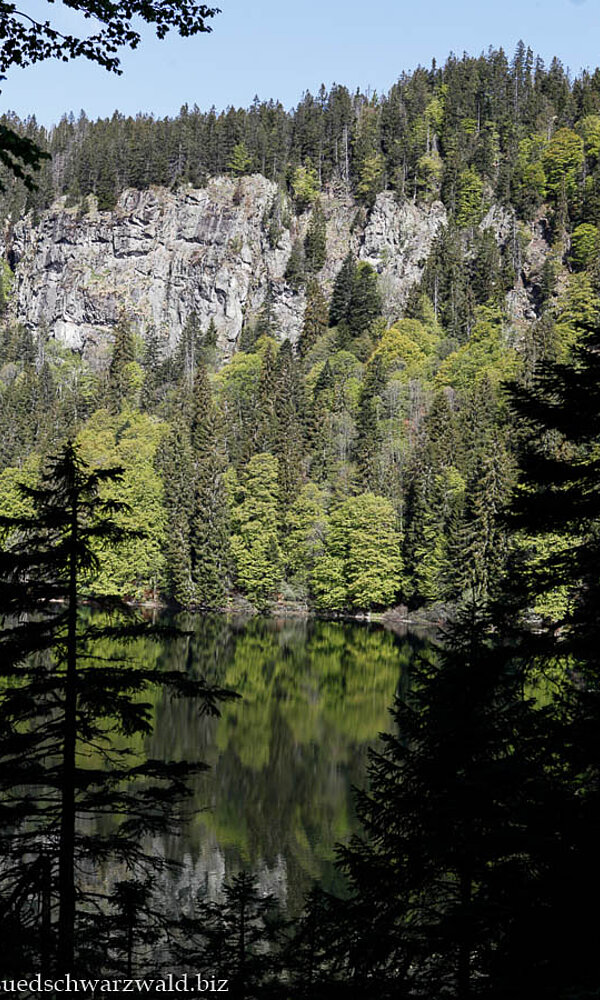 Karwand des Feldsees