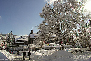 Winderidylle am Titisee