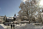 Seerundweg am Titisee