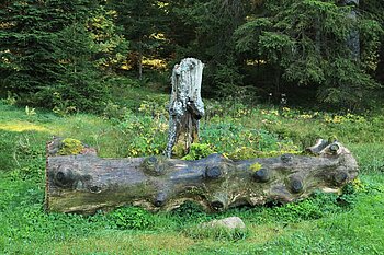 Kleiner Brunnen bei Wittemle