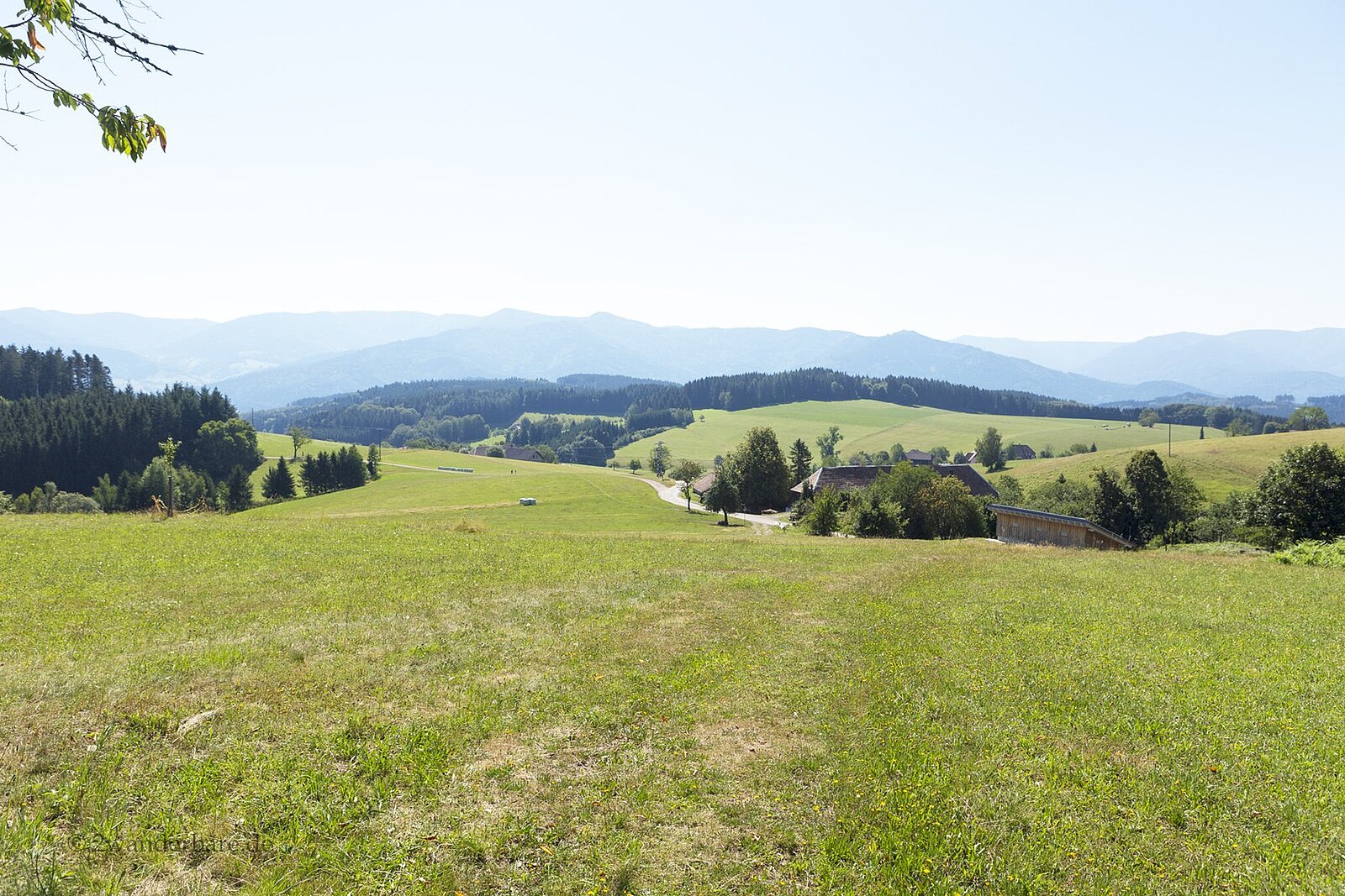 Aussicht von der Kreuzeckle-Tour über die Wälder und Hügel im ZweiTälerLand