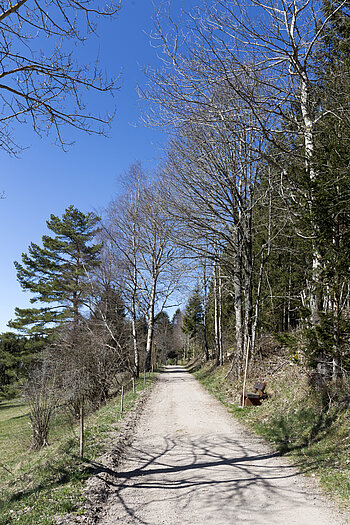 Wanderweg von Häusern nach Wittemle