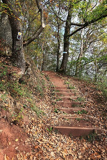 Mit Stufen befestigter Wanderweg von Schramberg zur Hohenschramberg