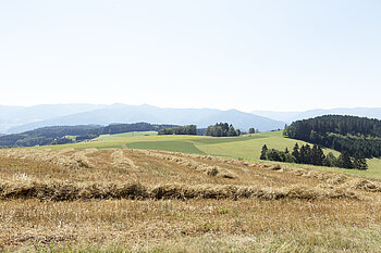 Aussicht vom Bäreneckle zu den Gipfeln des Mittleren Schwarzwalds