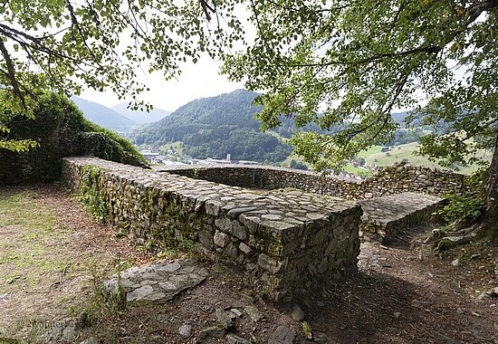 Zweigen hängen über den Festungsmauern der Burgruine Wolfach