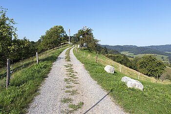 Panoramaweg der Steinacher Hausstrecke nahe dem Kreuzbühl