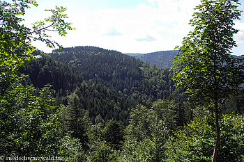 Blick über die Wälder vom Höllental